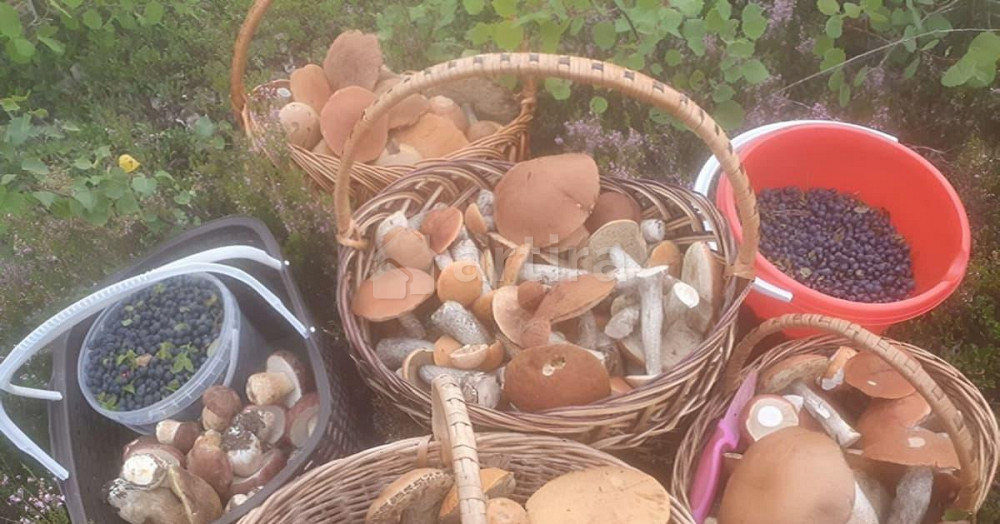 Коттедж, 135 м2, 1 сотка, 2 эт. Рощино - изображение 6