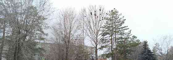 Комната, 18 м2, 3/9 эт. Волжский