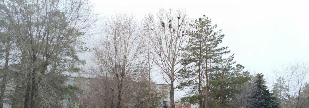 Комната, 18 м2, 3/9 эт. Волжский - изображение 6