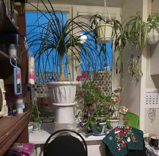 Комната, 10 м2, 5/5 эт. Екатеринбург