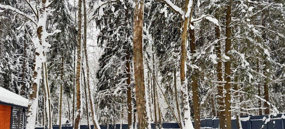 Дом, 118 м2, 18 соток, 1 эт. Клин - изображение 5