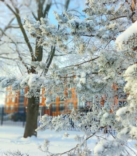 2-комн. квартира, 36 м2, 3/5 эт. Кронштадт - изображение 15