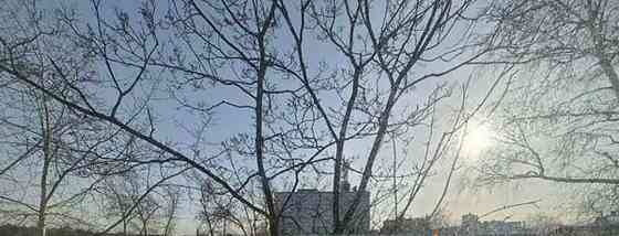 Комната, 19.4 м2, 5/5 эт. Москва