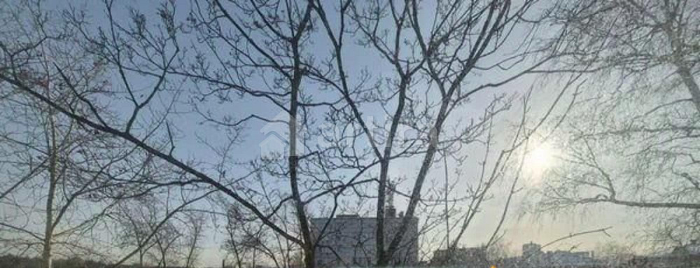 Комната, 19.4 м2, 5/5 эт. Москва - изображение 4