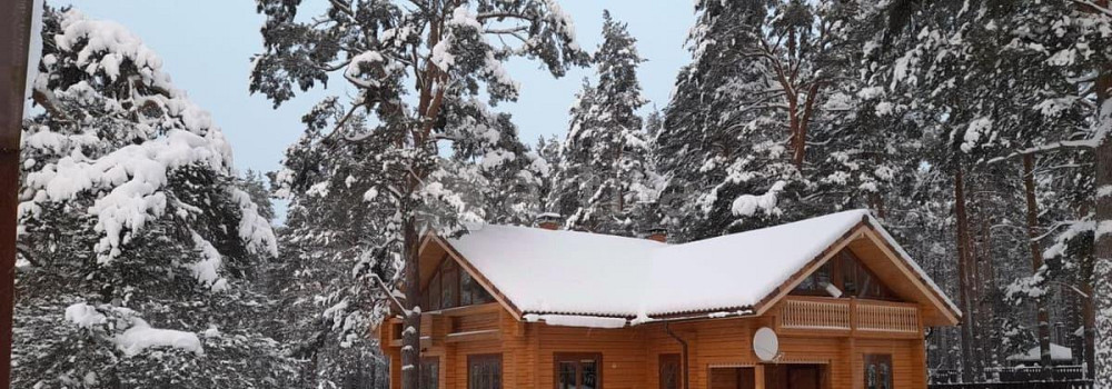 Коттедж, 230 м2, 50 соток, 2 эт. Сосново - изображение 6