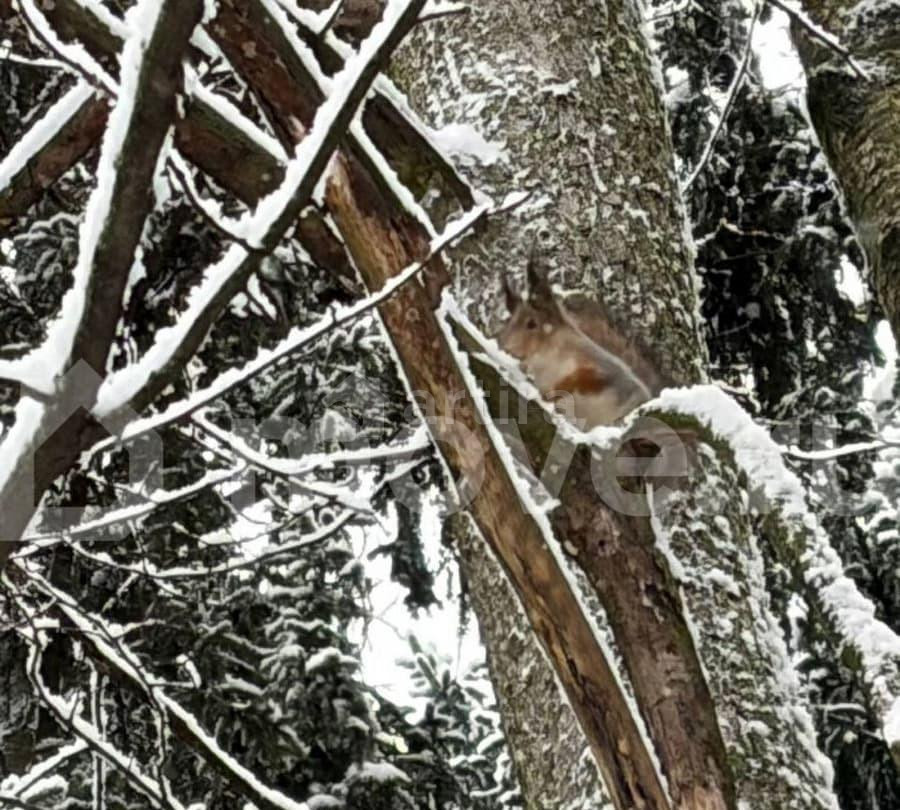 2-комн. квартира, 58 м2, 16/24 эт. Москва - изображение 5