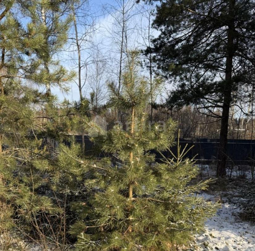 Дом, 120 м2, 12 соток, 2 эт. Руза - изображение 4