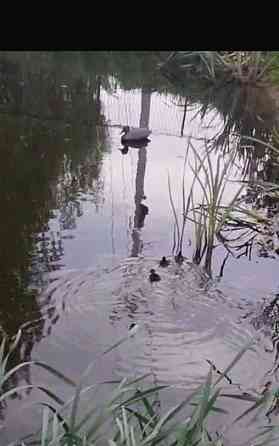 Дом, 250 м2, 10 соток, 3 эт. Домодедово
