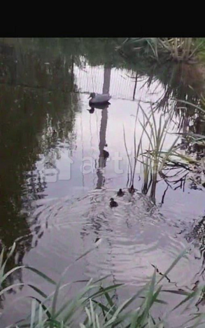 Дом, 250 м2, 10 соток, 3 эт. Домодедово - изображение 1