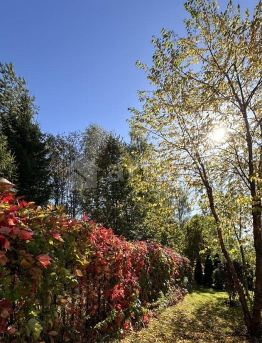 Дом, 144 м2, 17 соток, 2 эт. Щёлково - изображение 7