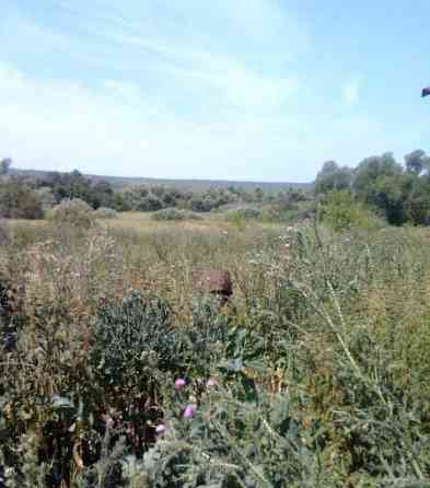 Дом, 50 м2 Похвистнево