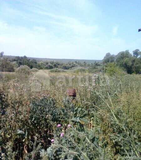 Дом, 50 м2 Похвистнево - изображение 1