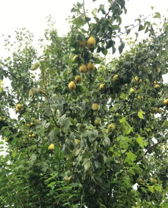 Коттедж, 280 м2, 2 сотки, 3 эт. Самара - изображение 6