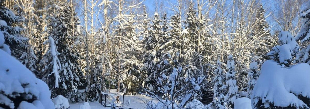 Дом, 230 м2, 25 соток, 2 эт. Чехов - изображение 7