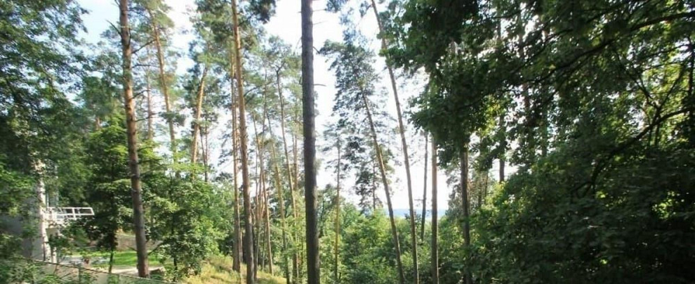 Дом, 200 м2, 15 соток, 3 эт. Одинцово - изображение 3