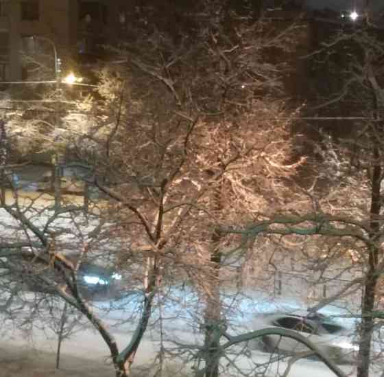 Комната, 18 м2, 3/8 эт. Санкт-Петербург