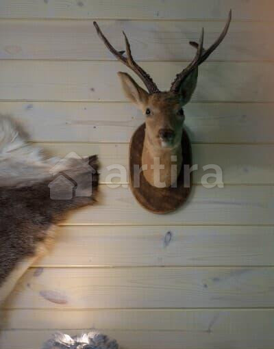 Дом, 35 м2 Санкт-Петербург - изображение 9