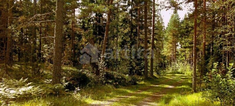 Студия, 22 м2, 4/17 эт. Воронеж - изображение 17