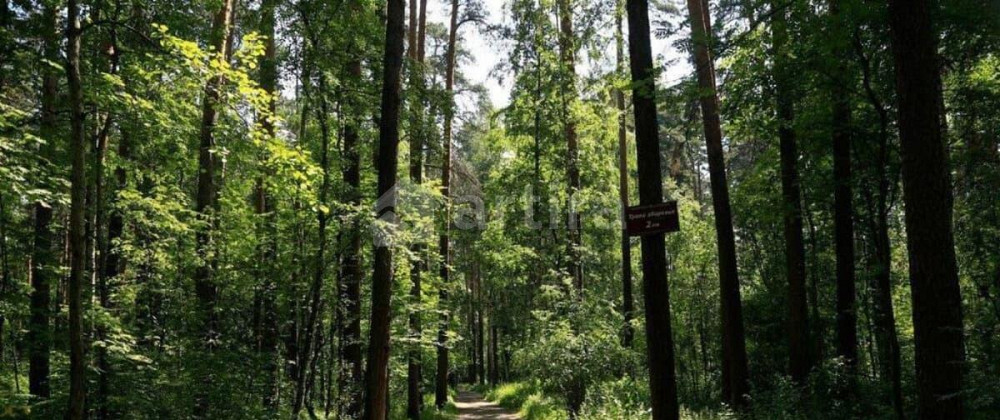 Коттедж, 450 м2, 8 соток, 3 эт. Мытищи - изображение 6