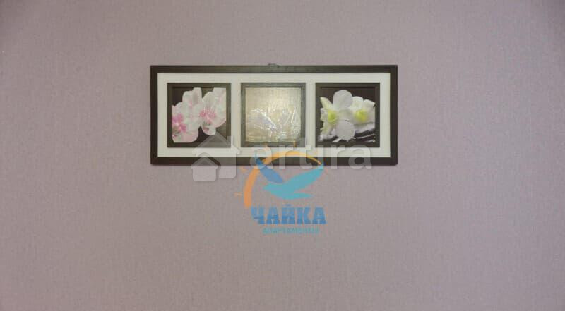 1-комн. квартира, 33 м2, 1/3 эт. Санкт-Петербург - изображение 5