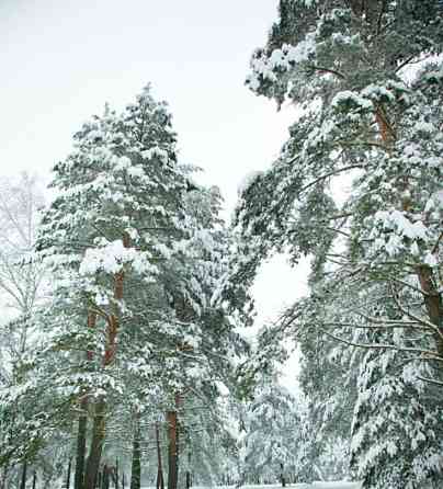 Дом, 200 м2, 11 га, 2 эт. Щёлково