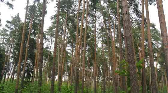 Дом, 120 м2, 2 сотки Кратово