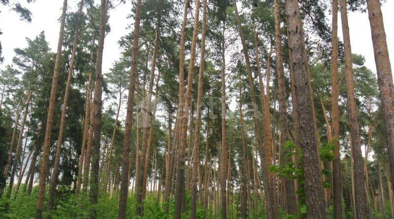 Дом, 120 м2, 2 сотки Кратово - изображение 4