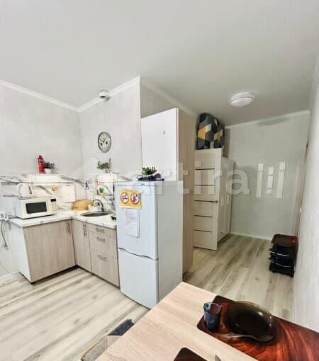 Студия, 27 м2, 8/17 эт. Балашиха - изображение 14