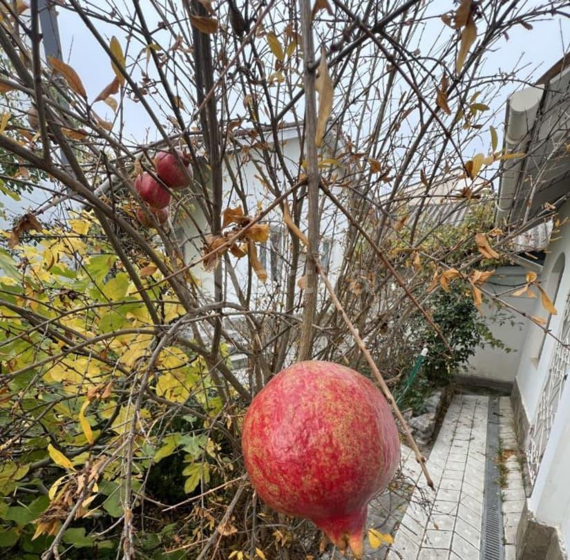 Коттедж, 60 м2, 4 сотки, 2 эт. Феодосия - изображение 7