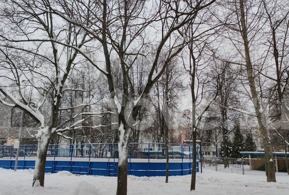 Студия, 20.2 м2, 1/16 эт. Москва - изображение 2