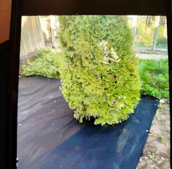 Дом, 45 м2, 4 сотки, 2 эт. Новосибирск