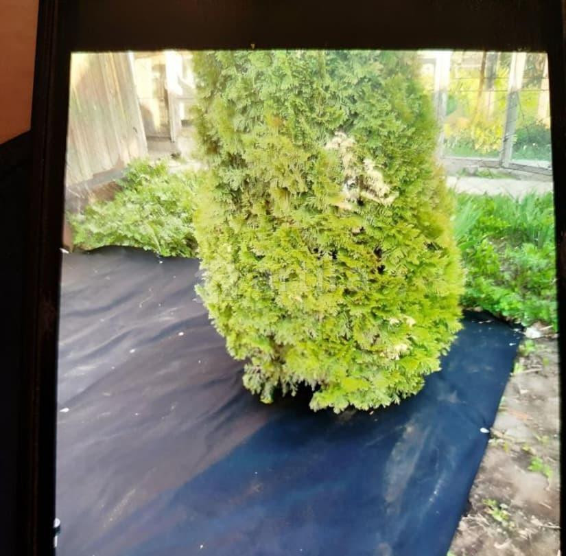 Дом, 45 м2, 4 сотки, 2 эт. Новосибирск - изображение 5