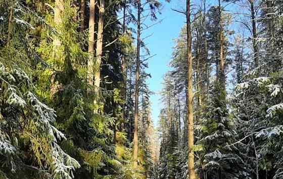 Дом, 80 м2, 12 соток, 1 эт. Санкт-Петербург