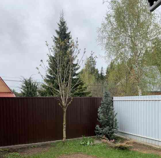 Коттедж, 450 м2, 8 соток, 3 эт. Красногорск