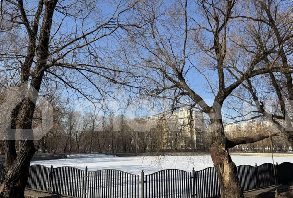 Студия, 17 м2, 1/9 эт. Москва - изображение 4