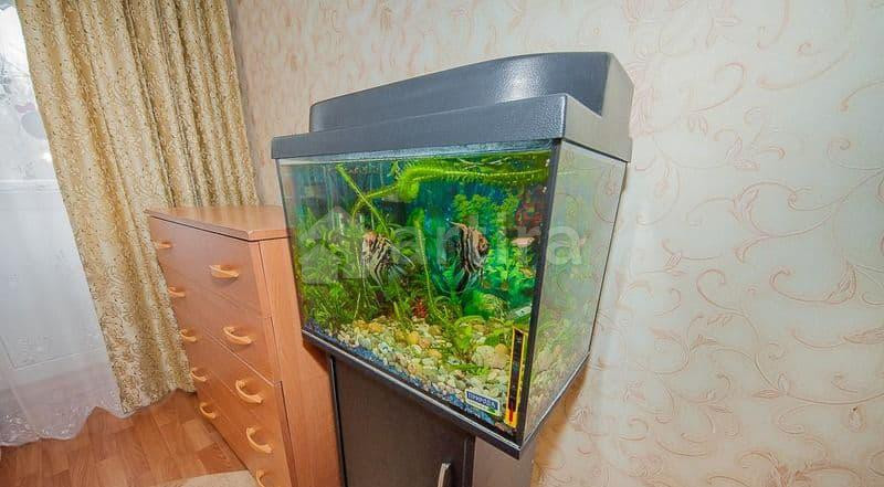 2-комн. квартира, 56 м2, 2/5 эт. Феодосия - изображение 10