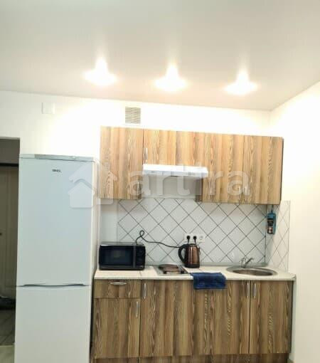 1-комн. квартира, 24 м2, 15/17 эт. Домодедово - изображение 3