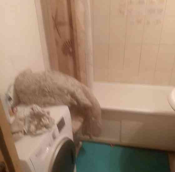 Комната, 20 м2, 24/25 эт. Химки