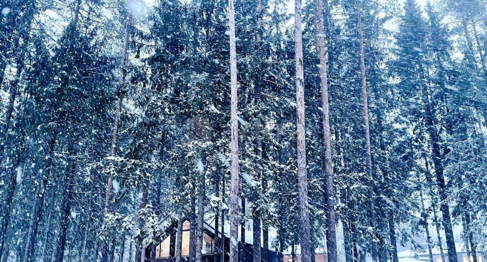 Дом, 150 м2, 15 соток, 2 эт. Рощино - изображение 1