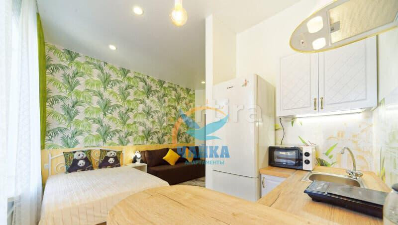 Студия, 25 м2, 5/5 эт. Санкт-Петербург - изображение 1