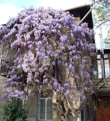 2-комн. апарт-ы, 53 м2, 2/2 эт. Ялта - изображение 12