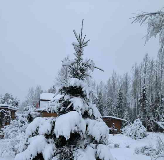 Дом, 84 м2, 12 соток, 2 эт. Кириши