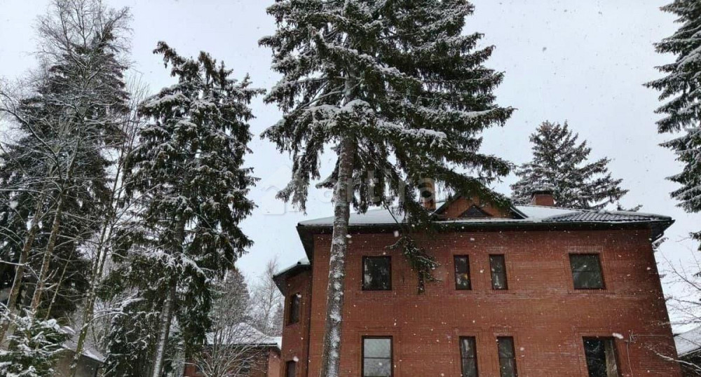 Дом, 481 м2, 30 соток, 4 эт. Солнечногорск - изображение 2