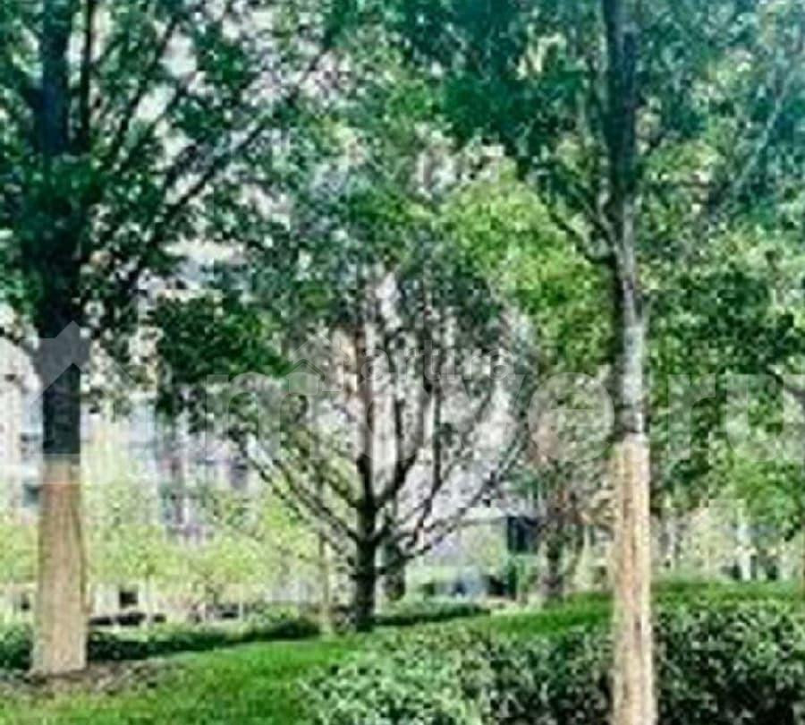 3-комн. квартира, 82 м2, 11/41 эт. Москва - изображение 5