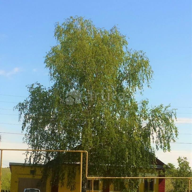 Дом, 150 м2, 25 соток, 2 эт. Богородск - изображение 1