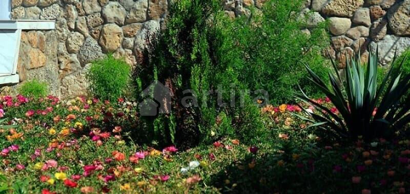 Коттедж, 250 м2 Евпатория - изображение 2