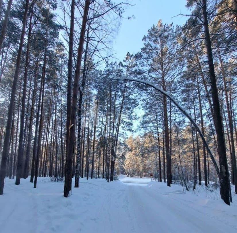 Коттедж, 447.8 м2, 9 соток, 3 эт. Кудряшовский - изображение 7