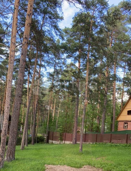 Коттедж, 700 м2, 20 соток, 3 эт. Новосибирск - изображение 7