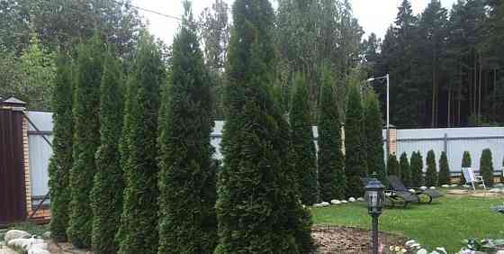 Коттедж, 450 м2, 8 соток, 3 эт. Мытищи