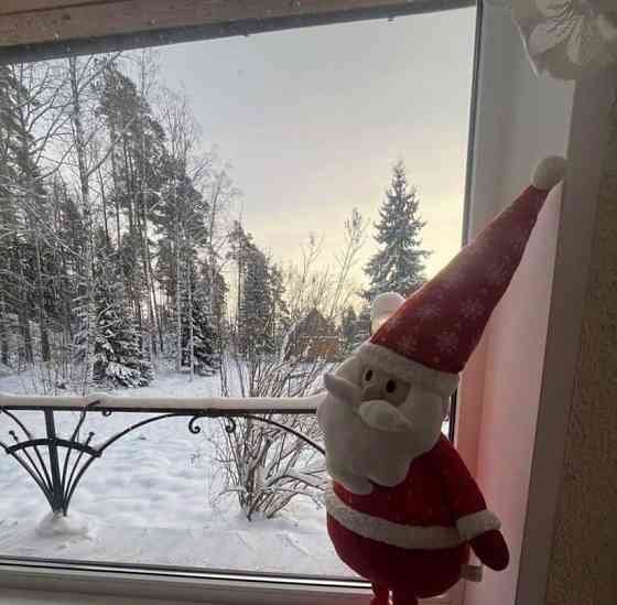 Дом, 350 м2, 3 га, 2 эт. Сосново